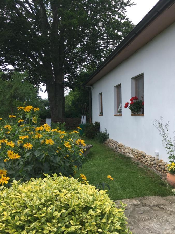 דירות Česká Lípa Apartman U Pamatneho Stromu מראה חיצוני תמונה